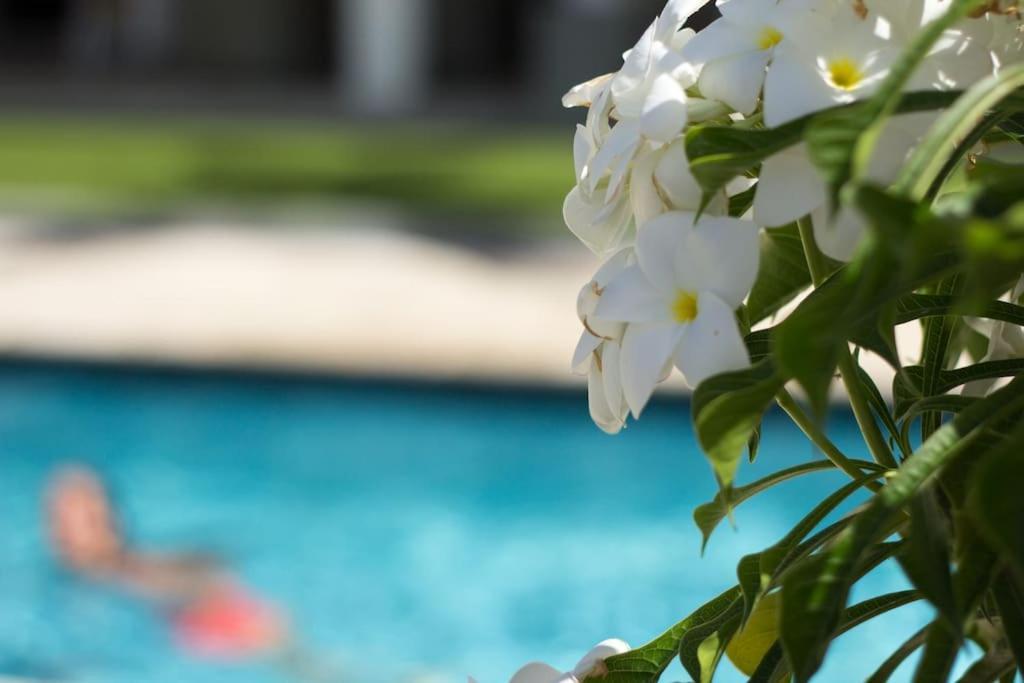 Goudhaen Luxury Private Apartments Jan Thiel Beach المظهر الخارجي الصورة